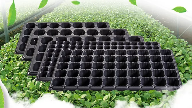 Apa sajakah mesin produksi baki pembibitan?